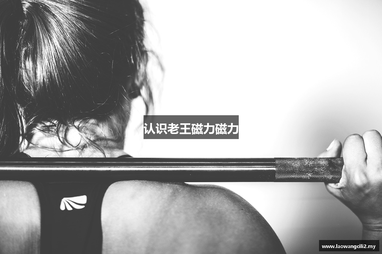 认识老王磁力磁力